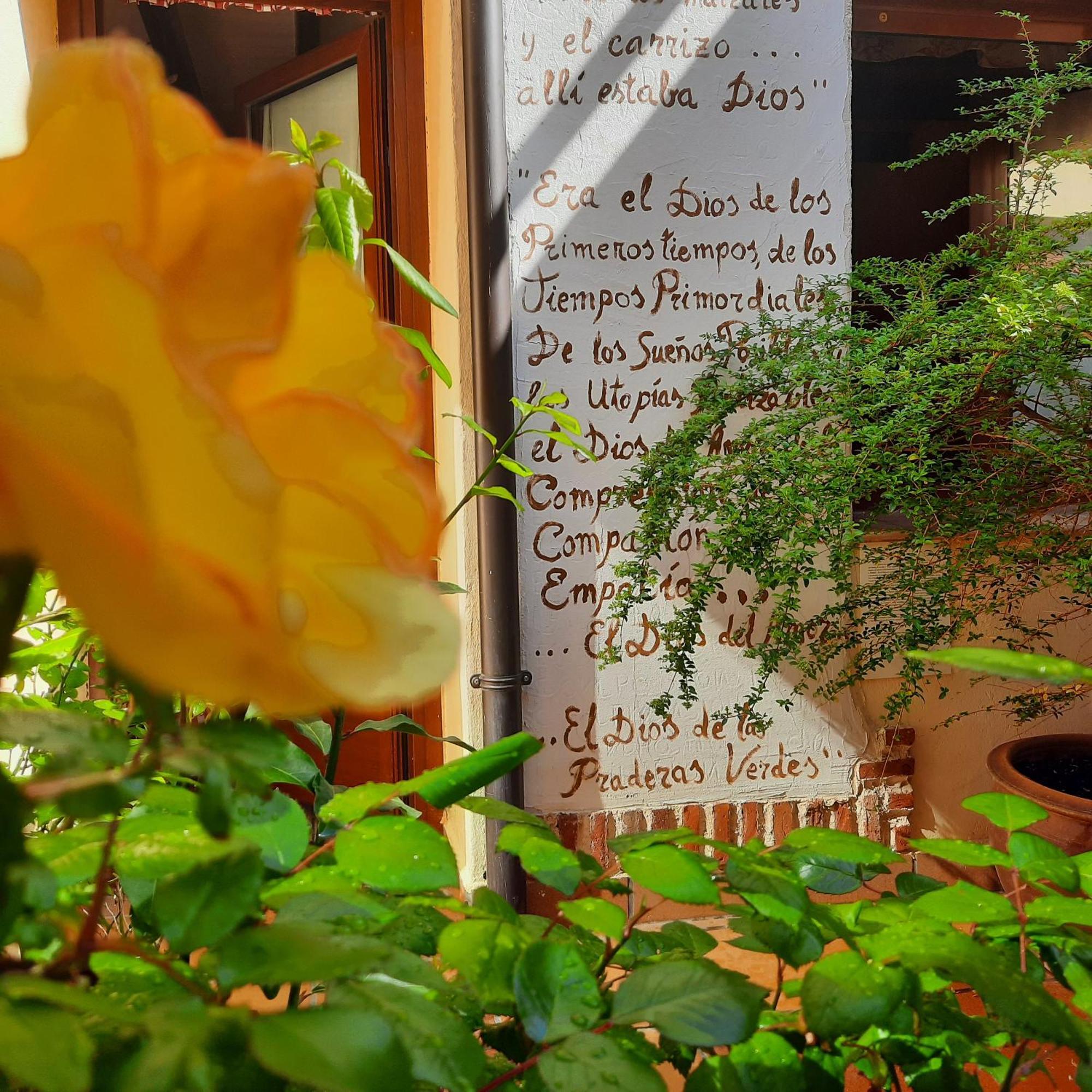 Beautiful Alamedas - Una Casa Rural Con Una Historia Unica Castronuno Luaran gambar