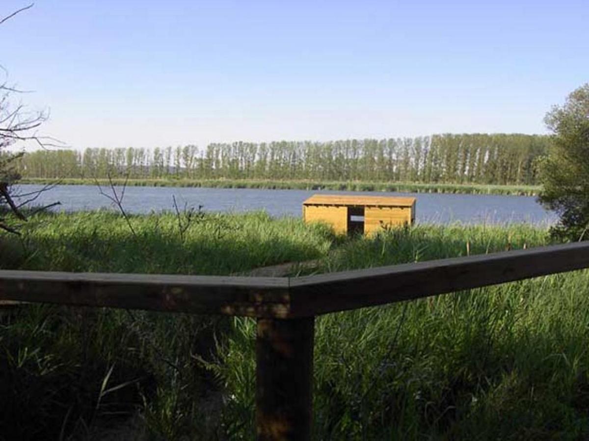 Beautiful Alamedas - Una Casa Rural Con Una Historia Unica Castronuno Luaran gambar