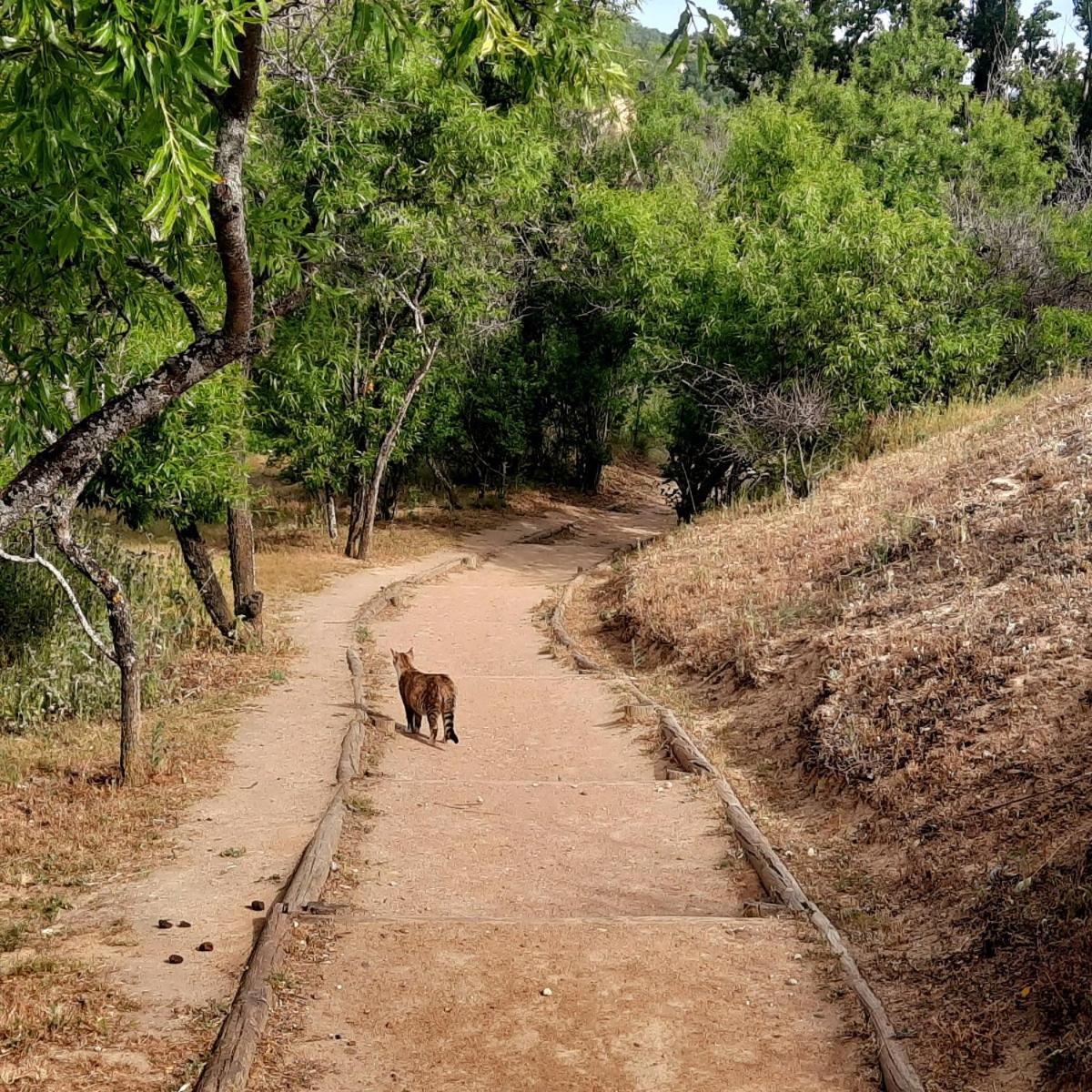 Beautiful Alamedas - Una Casa Rural Con Una Historia Unica Castronuno Luaran gambar