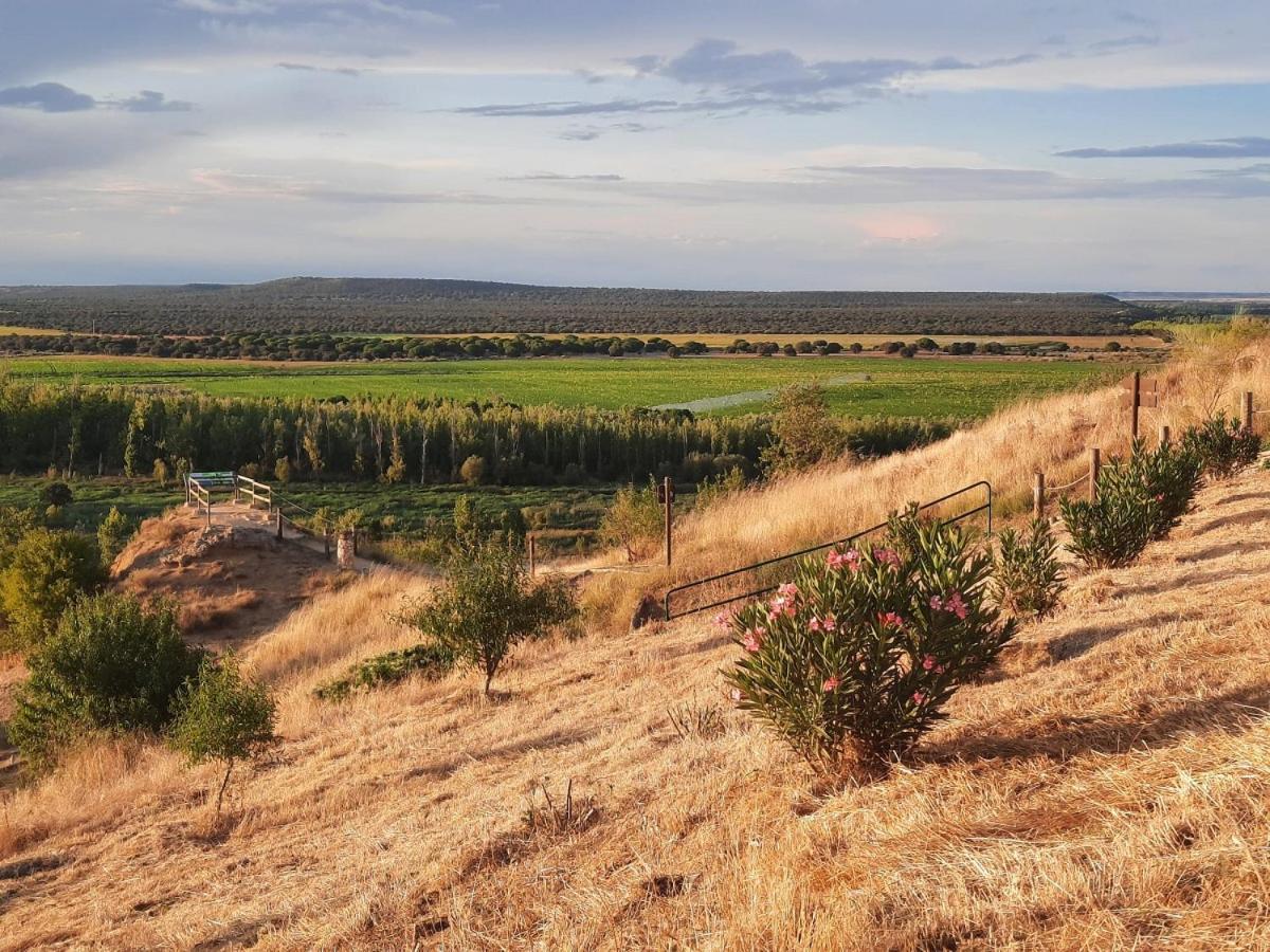 Beautiful Alamedas - Una Casa Rural Con Una Historia Unica Castronuno Luaran gambar